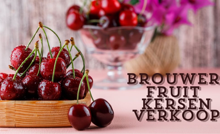 brouwer fruit - kersen verkoop