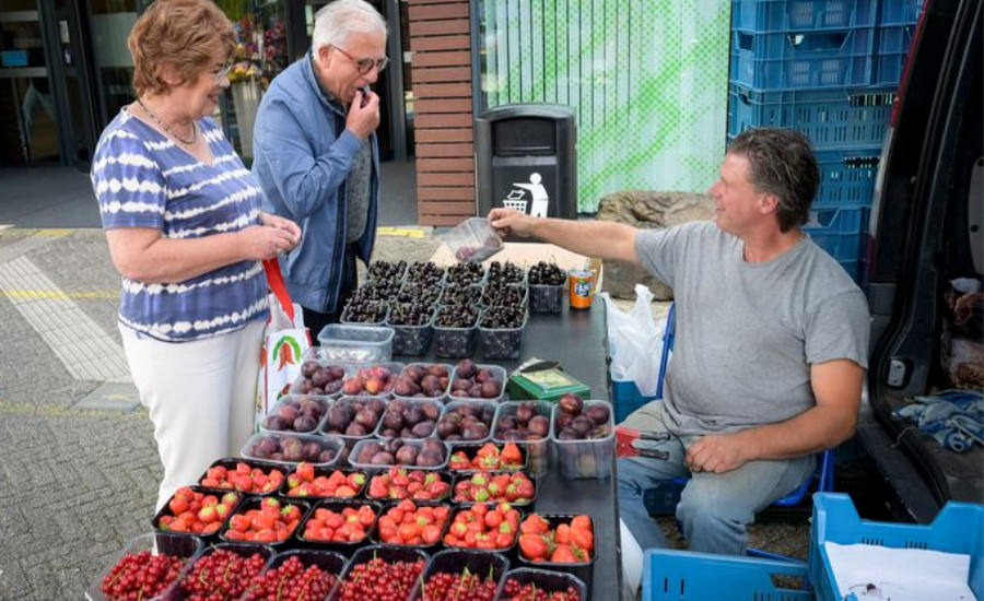 How To Purchase Cherries From Brouwer Fruit?