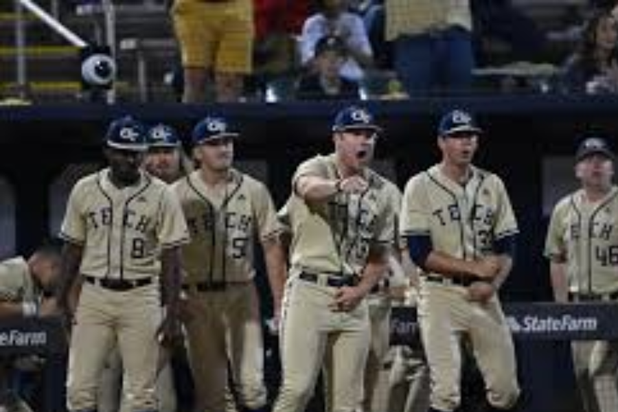 georgia tech baseball